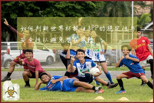 如何判断世界杯投注APP的稳定性与安全性以避免潜在风险