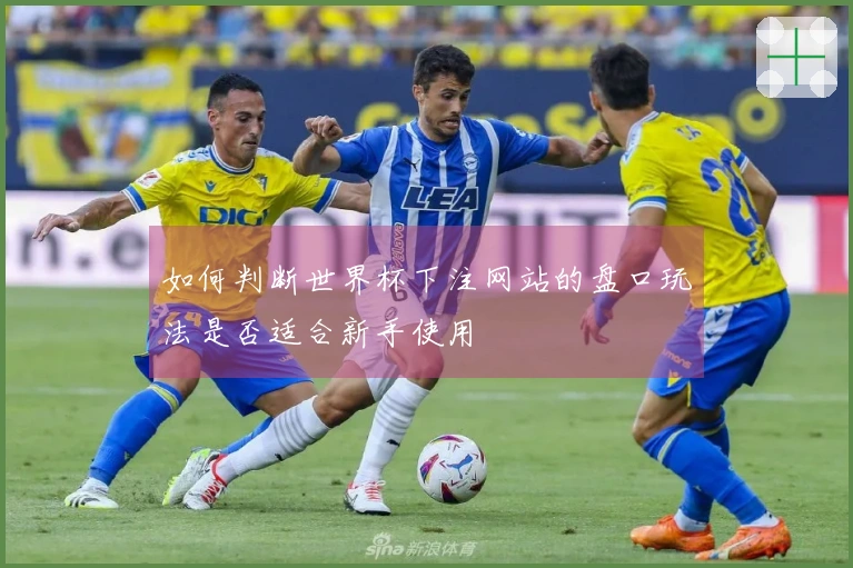 如何判断世界杯下注网站的盘口玩法是否适合新手使用