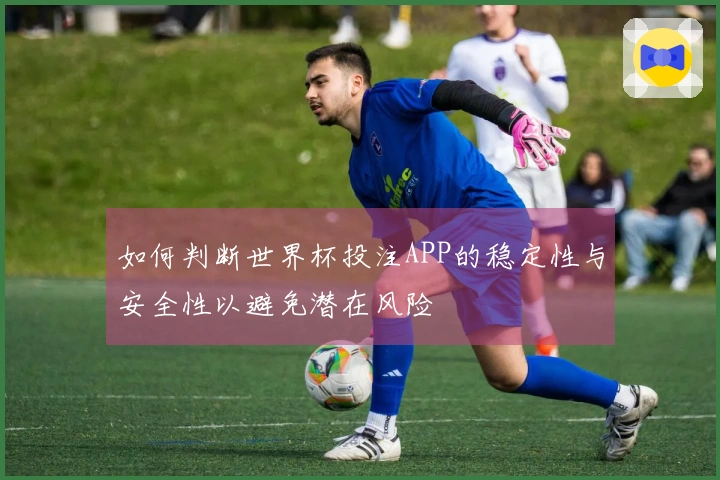 如何判断世界杯投注APP的稳定性与安全性以避免潜在风险