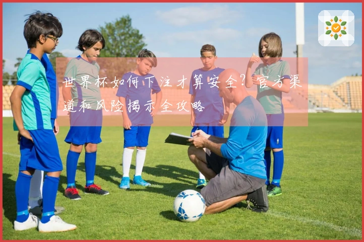 世界杯如何下注才算安全？官方渠道和风险揭示全攻略