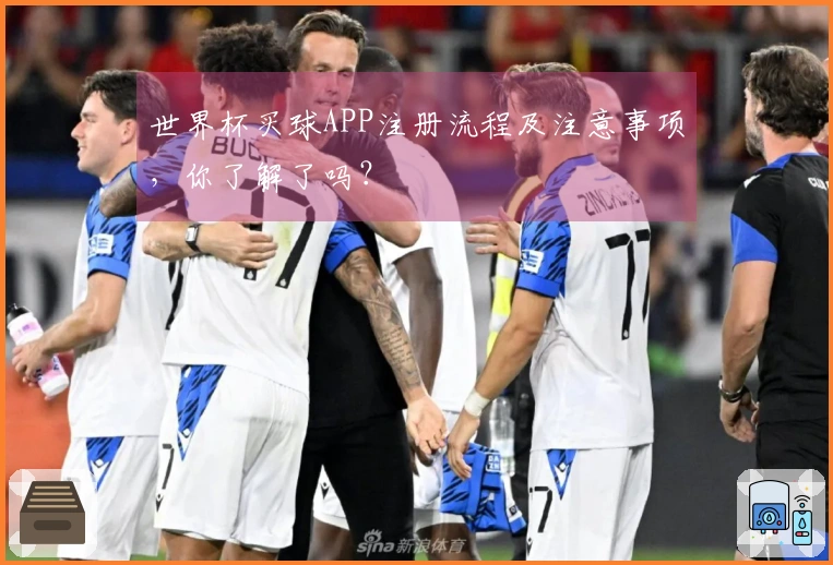 世界杯买球APP注册流程及注意事项，你了解了吗？
