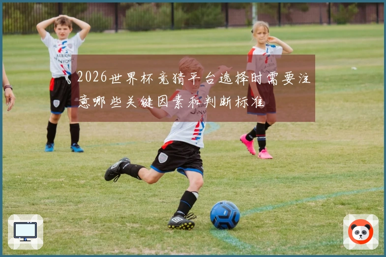 2026世界杯竞猜平台选择时需要注意哪些关键因素和判断标准