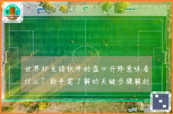 世界杯竞猜软件的盘口升降意味着什么？新手需了解的关键步骤解析